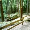 Switchback Trail